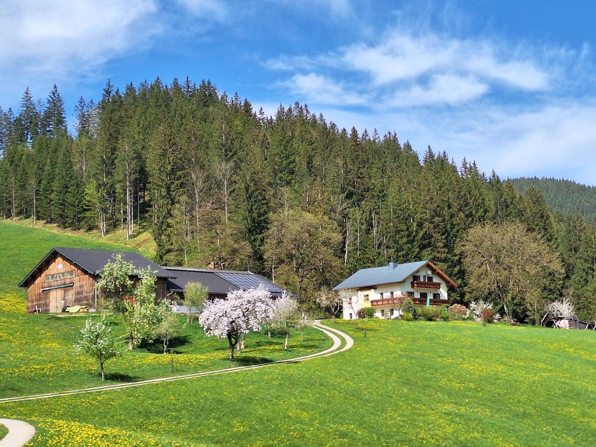 Villa Biobauernhof Poidlbauer Göstling an der Ybbs Exterior foto